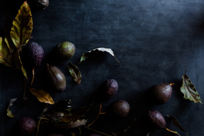 nadine_greeff_photographer_dark_food_photography-2